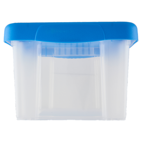 Selex Contenitore con Coperchio a Scatto Azzurro 5 L