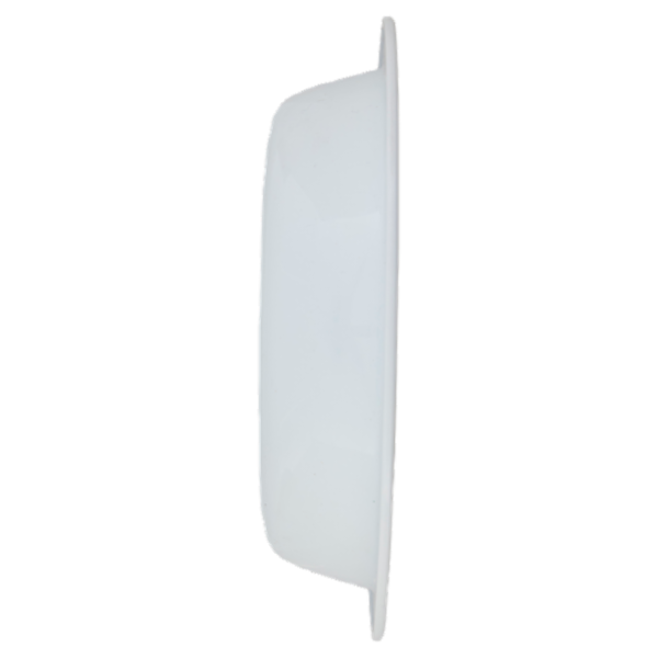 Smart Piatto Fondo PP Minions 2