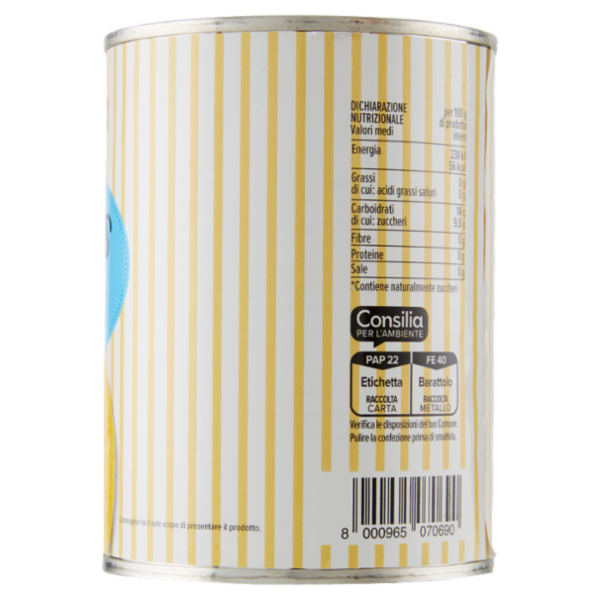 Consilia Ananas al Naturale 565 g