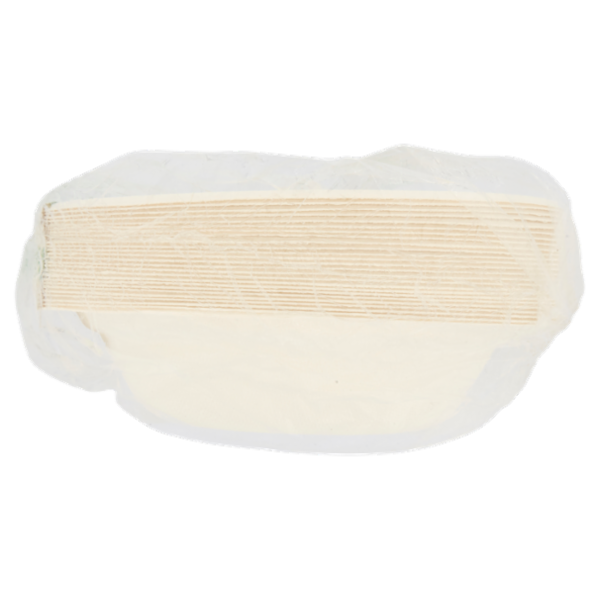 Biò Fondine Ø18cm 400ml polpa di cellulosa 25 pz