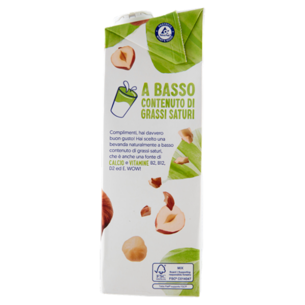 Alpro Classico Nocciola, Bevanda 100% Vegetale, Basso Contenuto di grassi, Senza Lattosio, 1l