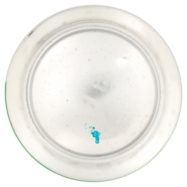 Sierra Nevada Pale Ale 355 mL