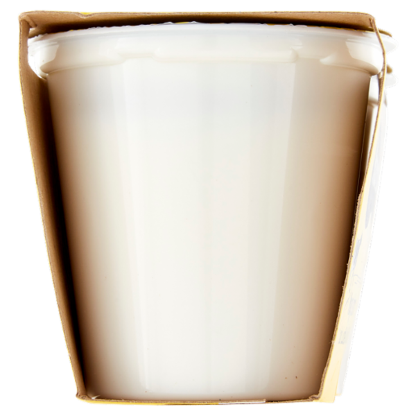 Arborea Yogurt Intero da Latte di Alta Qualità Bianco 2 x 125 g
