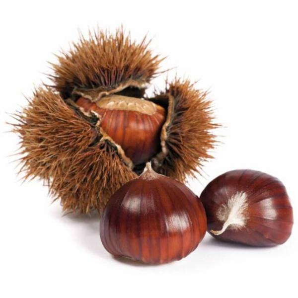 Castagne Extra Sfuse