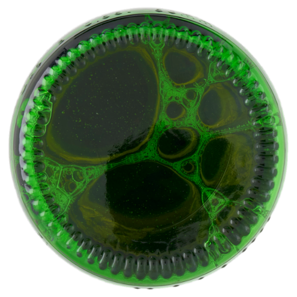 STELLA ARTOIS Birra lager belga bottiglia Edizione ATP 66cl