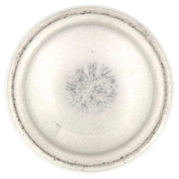 Nivea Naturally Good EcoDeo Bio Green Tea 125 ml