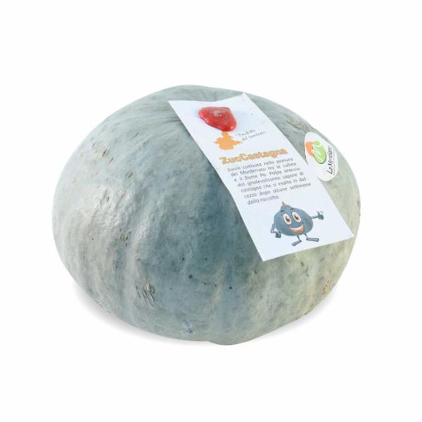 ZUCCA CASTAGNA PIEMONTE