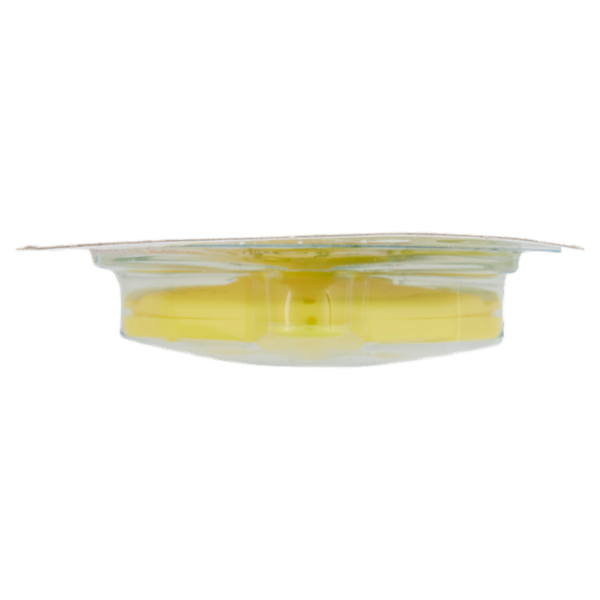 Scala Deodorante per Lavastoviglie Elimina odori Freschezza al Limone e Agrumi 4 g