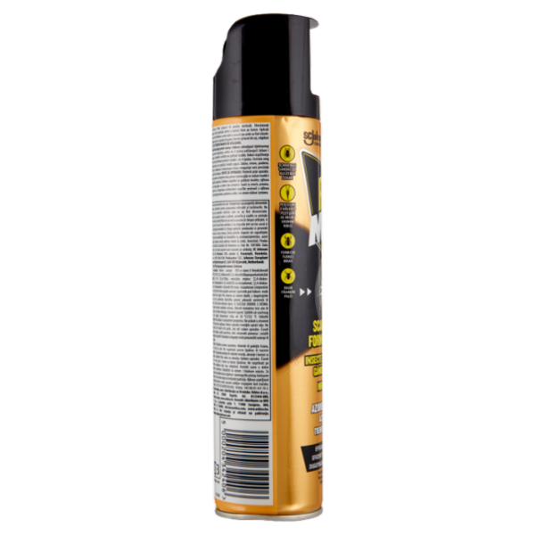 Raid Aerosol Max Scarafaggi e Formiche 3 in 1, Spray Insetticida, Efficace per 4 Settimane, 300 ml