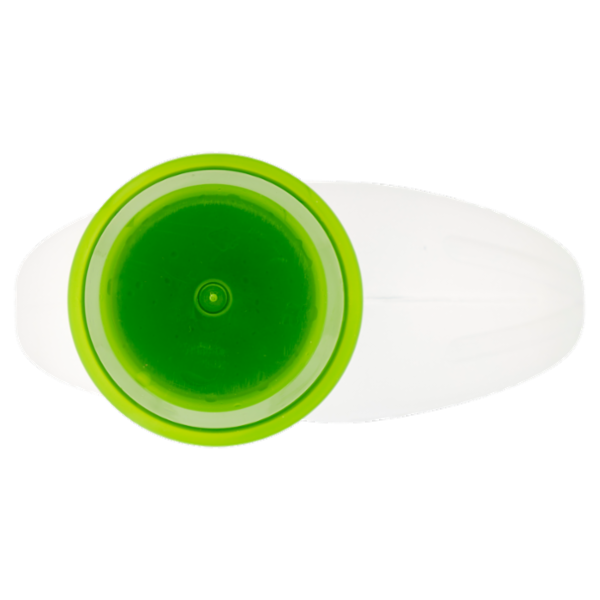 Winni's Naturel Lavatrice Capi colorati Fiori d'arancio e Sandalo 25 Lavaggi 1,125 l