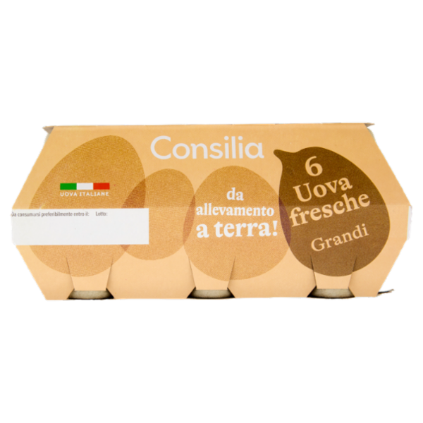 Consilia 6 Uova Fresche Grandi da Allevamento a Terra