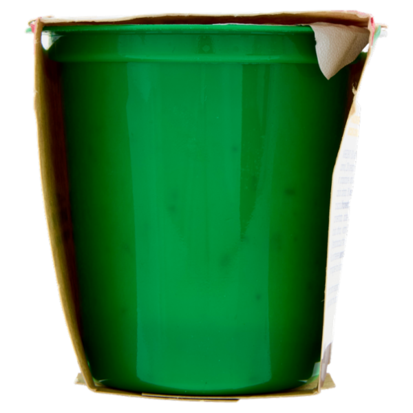 Soia Lovers Frutta e Cereali 2 x 125 g