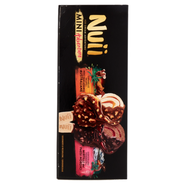 NUII Mini Adventure Caramello Salato e Noci Macadamia e Cioccolato Fondente e Mirtilli 6 Gelati 253g