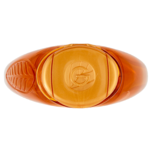 Garnier Ultra Dolce Shampoo Meraviglioso all'olio d'argan e di camelia per capelli secchi, 300 ml