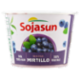 Sojasun Bifidus Mirtillo 250 g