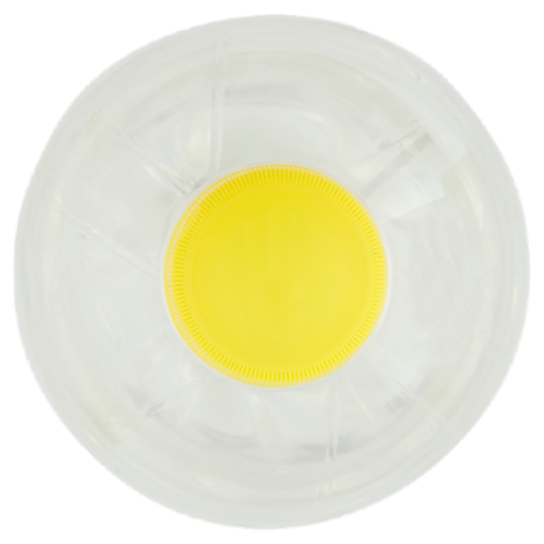 Consilia Acqua Tonica 1 L