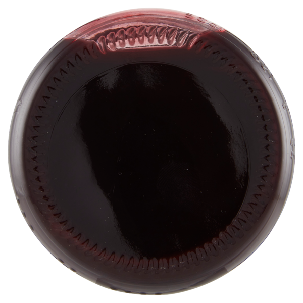 alce nero Nettare di Mirtillo 500 ml