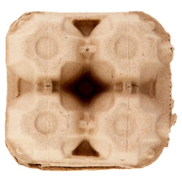 Brescia Bio Uova fresche Biologiche 220 g